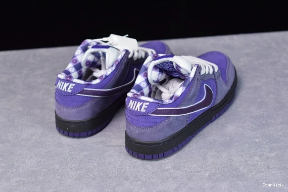 Purple Nike Lobster Dunk BV1310-555 Low SB Concepts 1231
